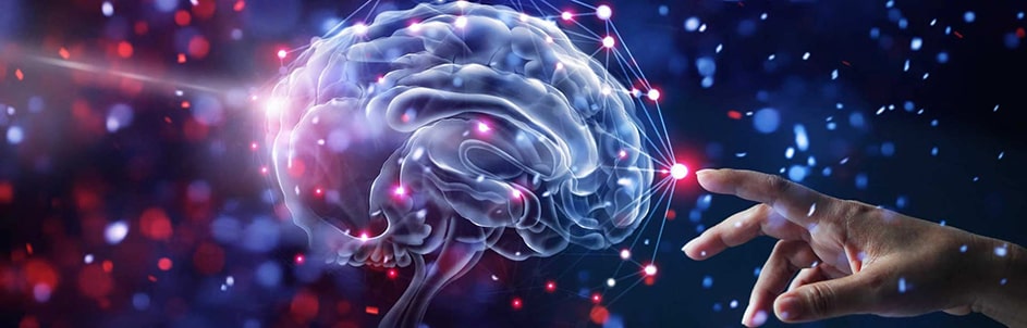 Neuro Brain